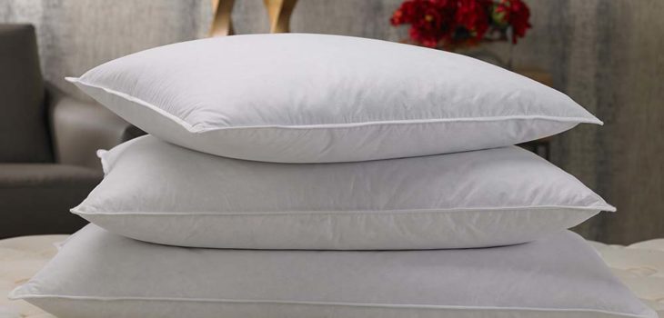 Pillow shopping guide
