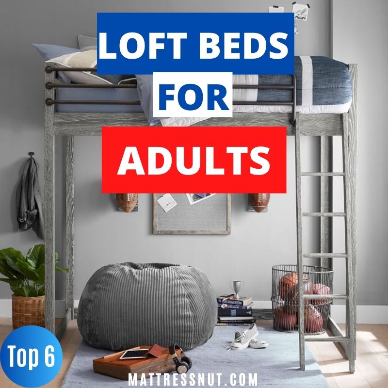 Loft beds for adults