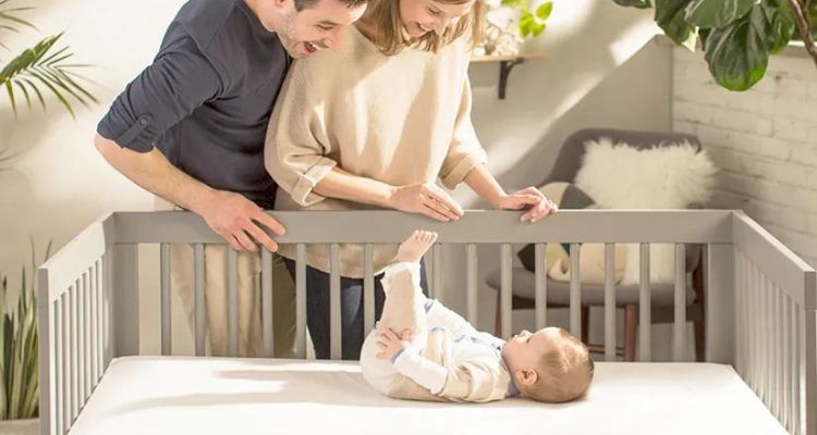 Naturepedic vs Newton mattress comparison
