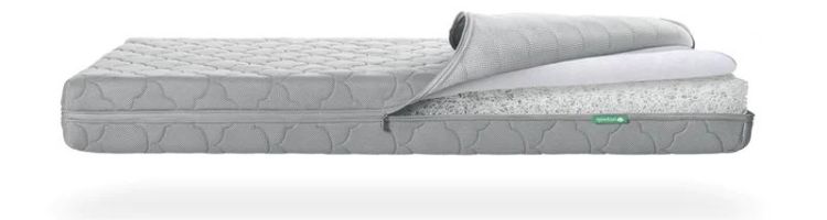 Naturepedic vs Newton mattress differences