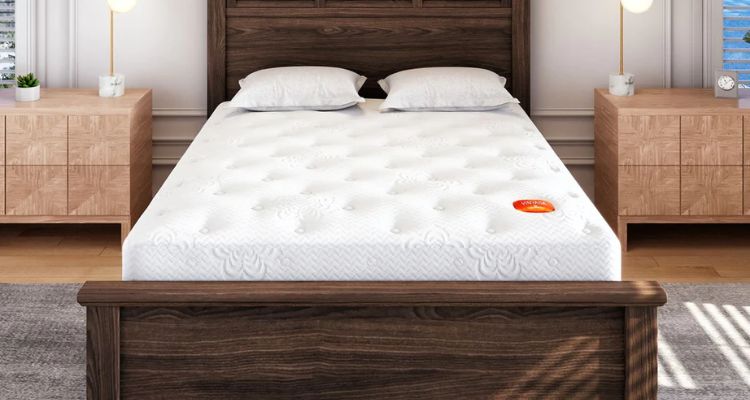 pranasleep vs tempurpedic comparison