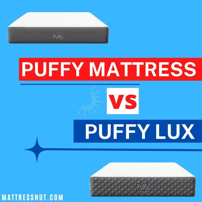 Puffy vs Puffy Lux