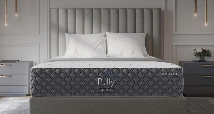 Puffy vs Puffy lux comparison