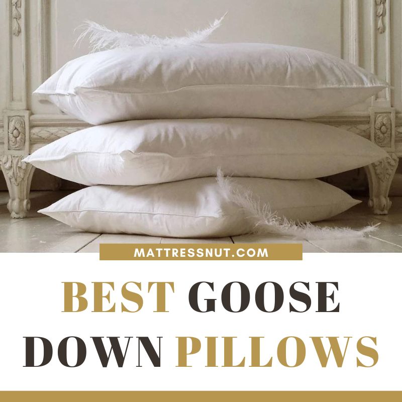 best goose down pillows