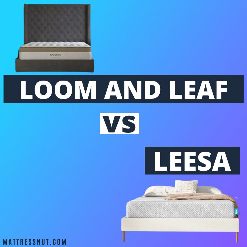 loom and leaf vs leesa