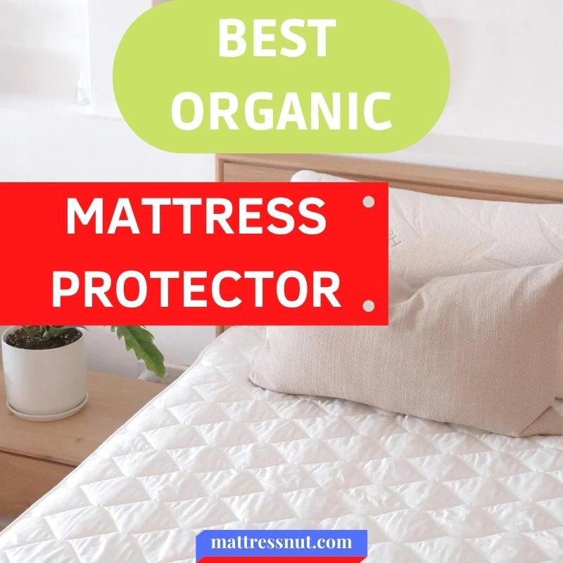 Best organic mattress protector