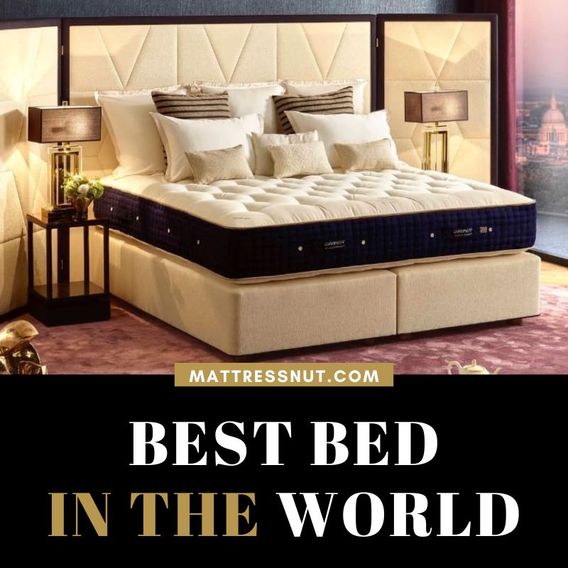 best bed in the world