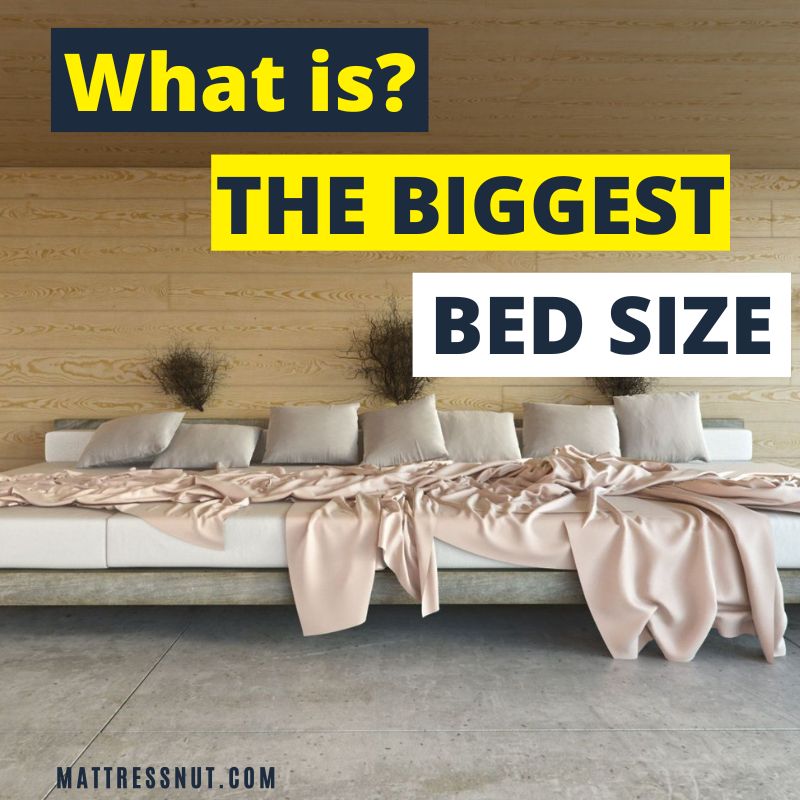 what is the biggest bed size