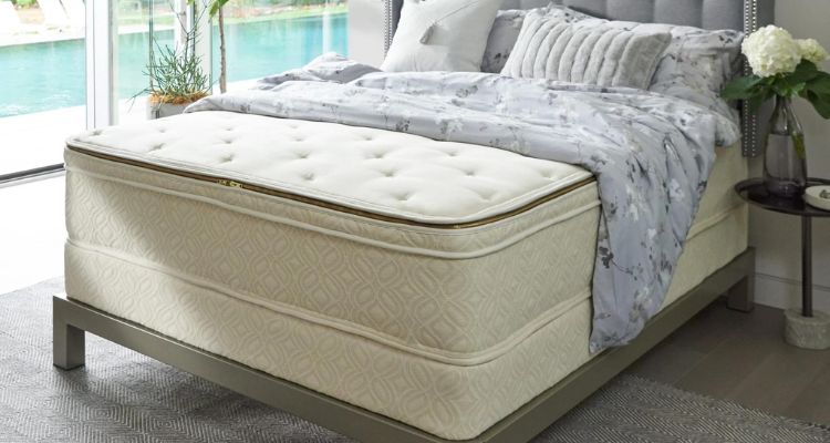 worlds best bed
