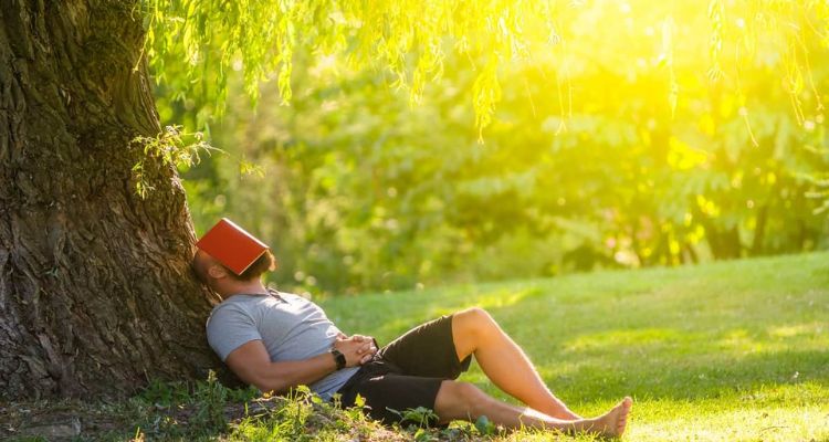 sleeping under a tree