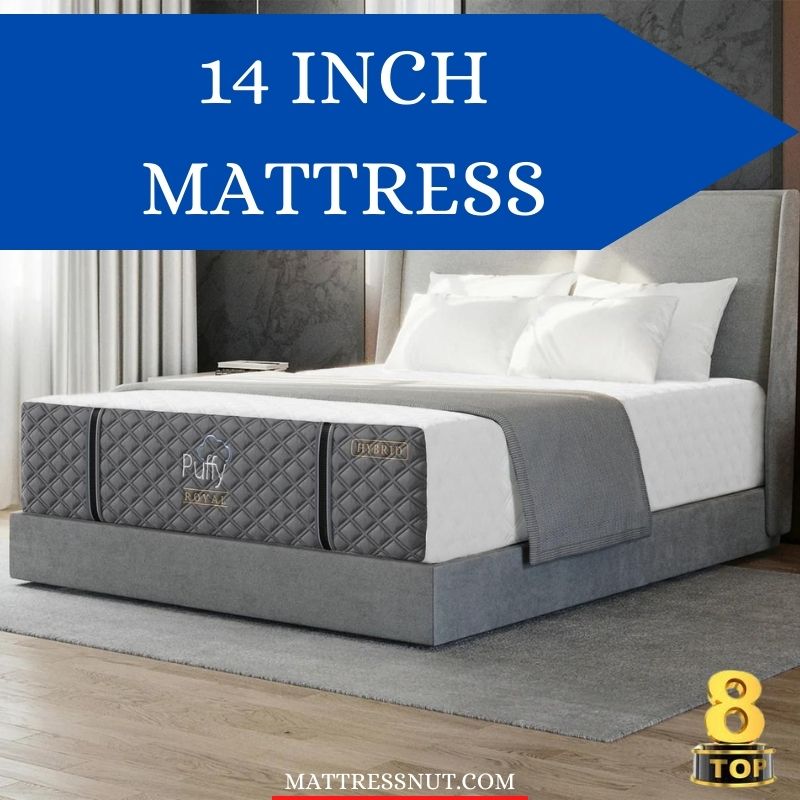 14 Inch mattress