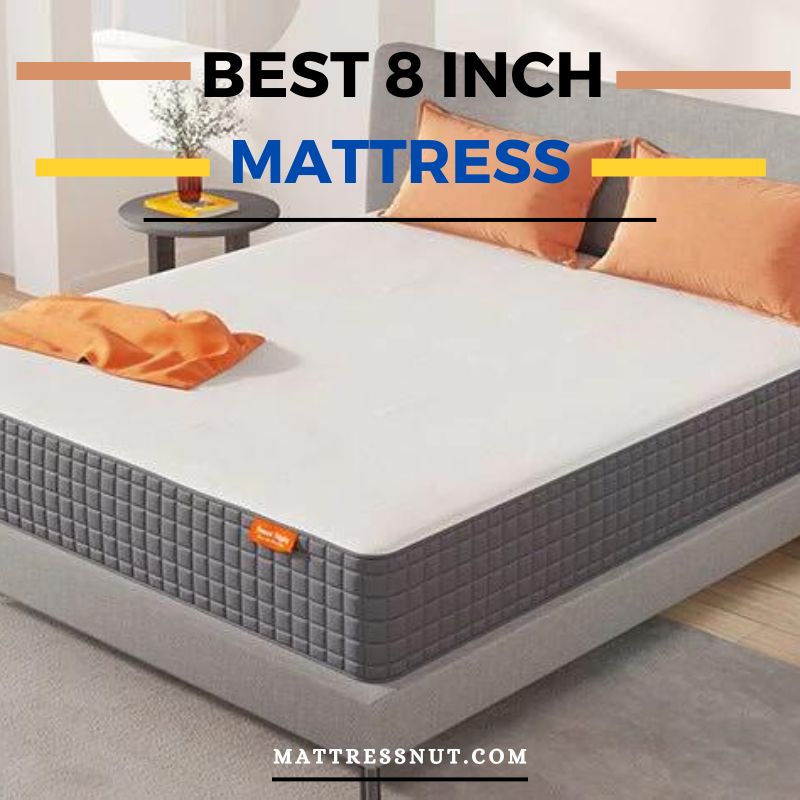 Best 8 inch mattress