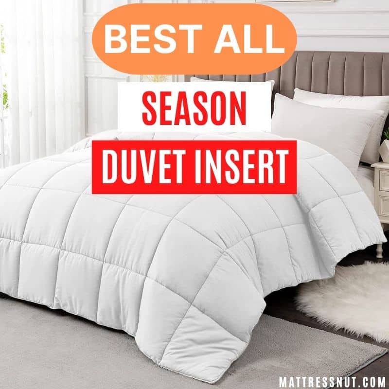 Best all season duvet insert