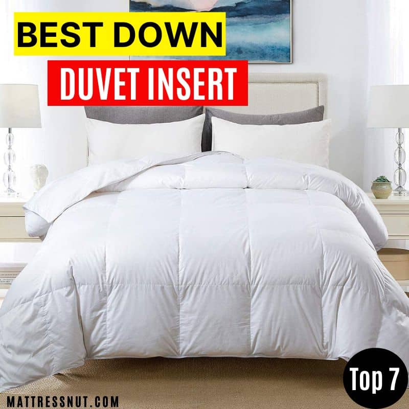 Best down duvet insert