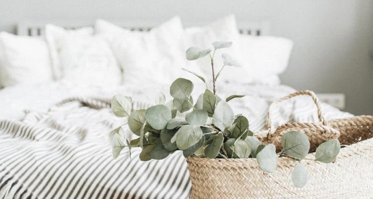 Difference between Lyocell vs Cotton