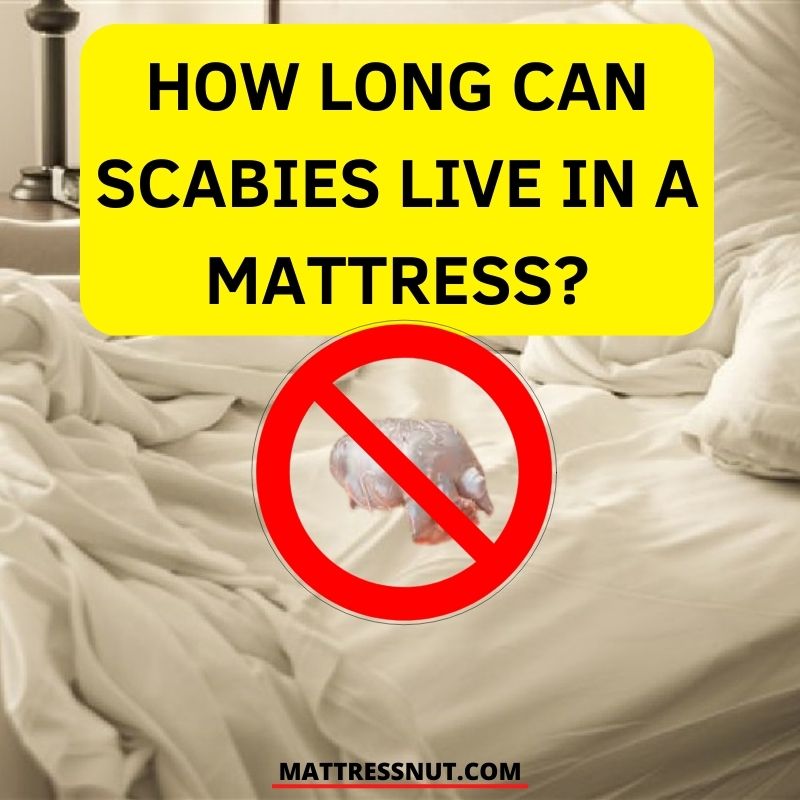 How long can scabies live in a mattress