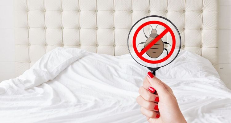 how to get rid of chiggers in mattress