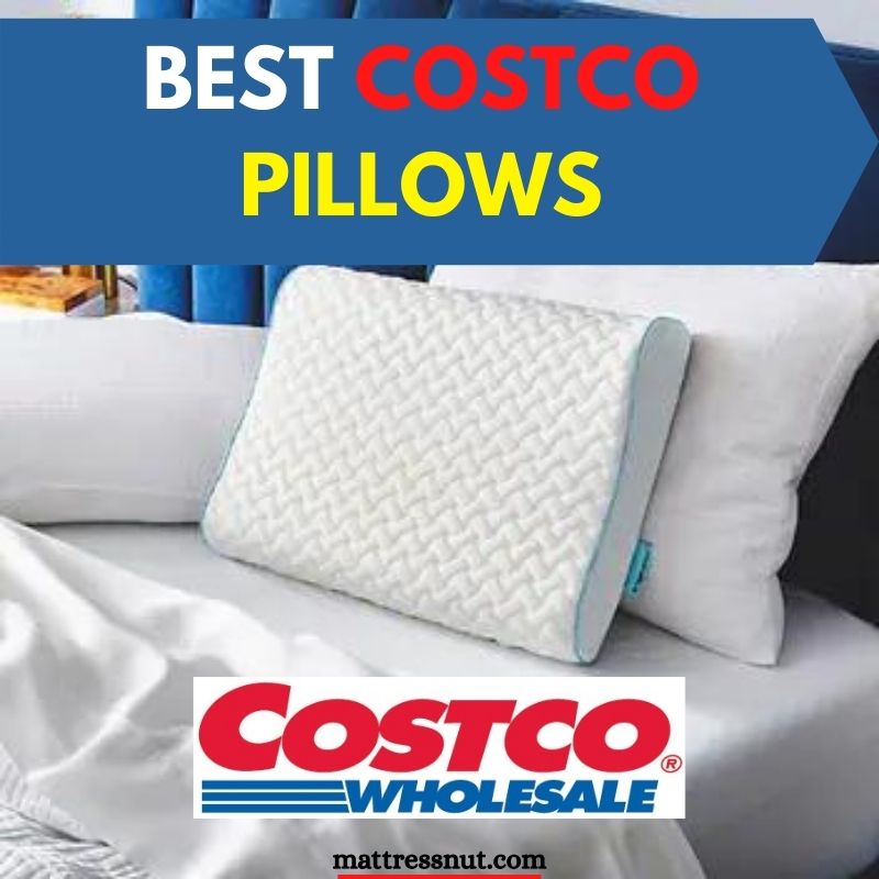 Best Costco Pillows