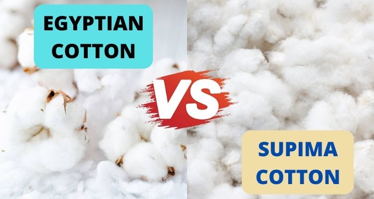 supima cotton vs egyptian cotton comparison