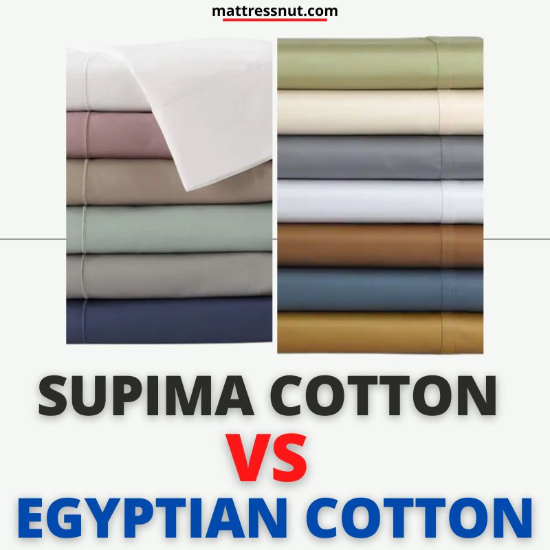 Supima cotton vs Egyptian cotton
