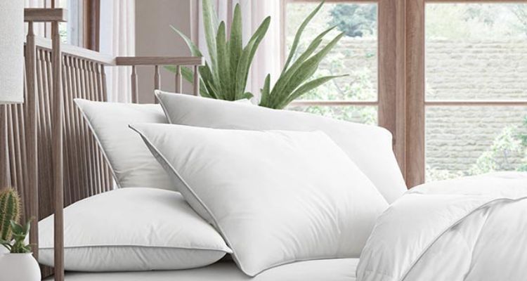 ihg bedding collection pillows