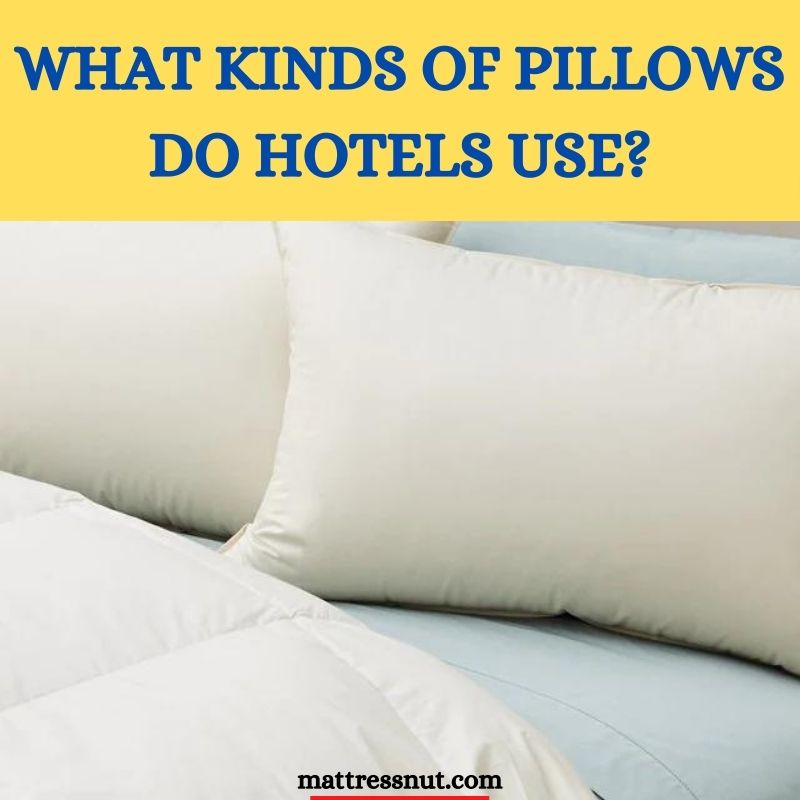 What kinds of pillows do hotels use
