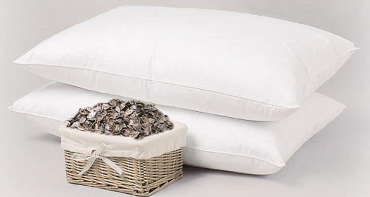 bugs in buckwheat pillow