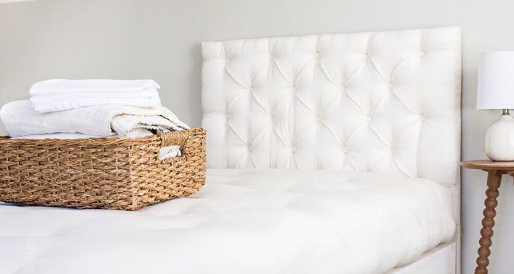 horse hair mattress price
