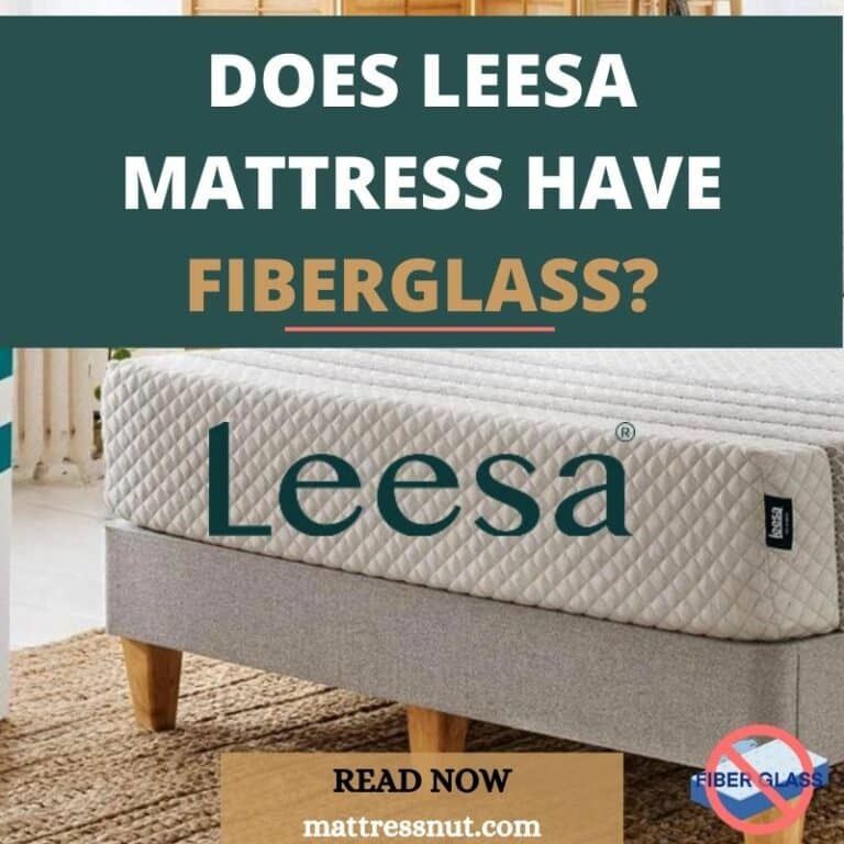 does-leesa-mattress-have-fiberglass-1-best-alternative