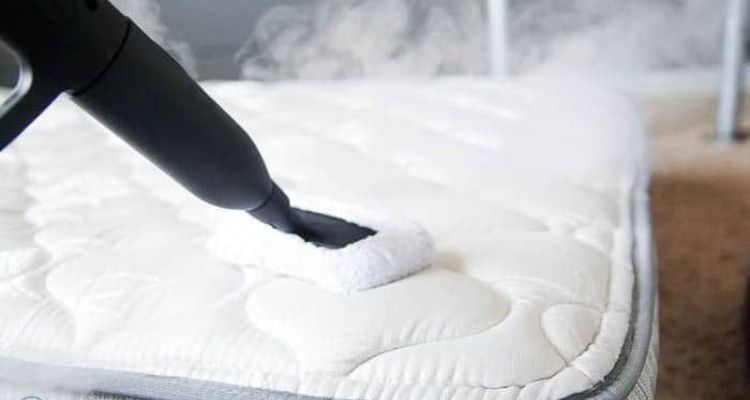 How Can You Get Rid of Bed Bugs in the Infested Room on Your Own?