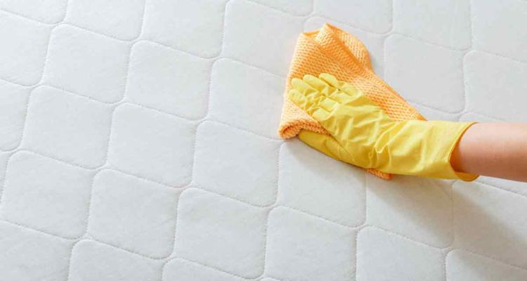 How to Remove Pee from a Bed