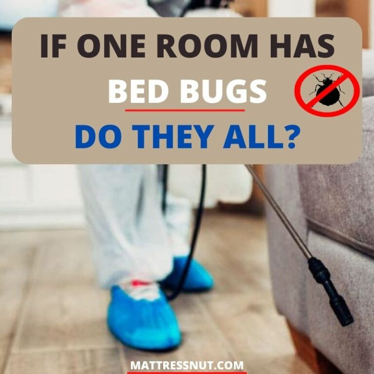 Sitemapcdatahttpsomobeldreferenzcomif One Room Has Bed Bugs Do They All