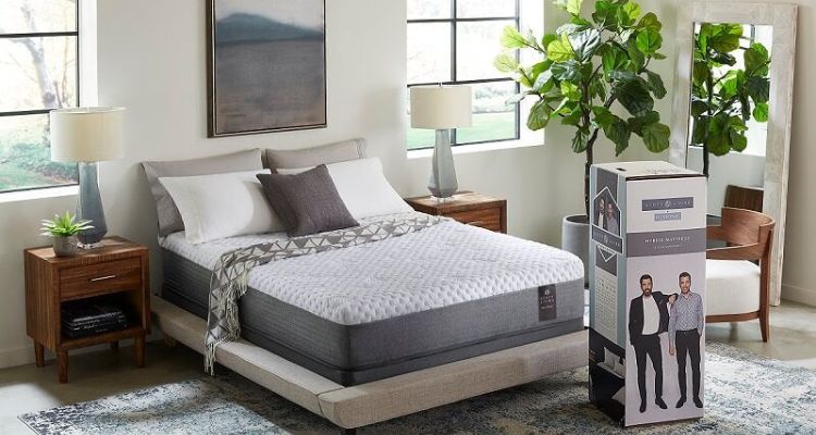 Scott Living Mattress Reviews