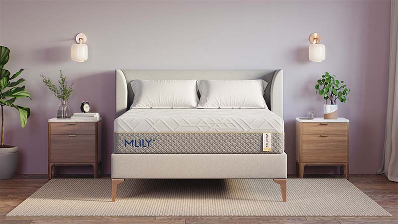 mlily mattress