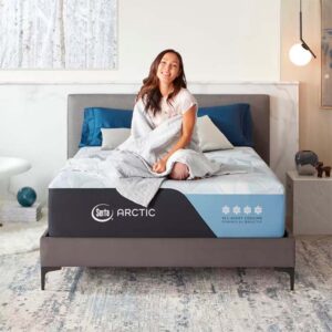 serta arctic product