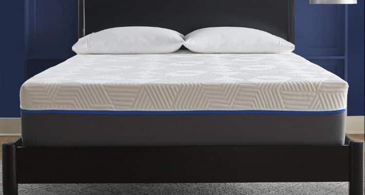 early bird performance mattress reviews