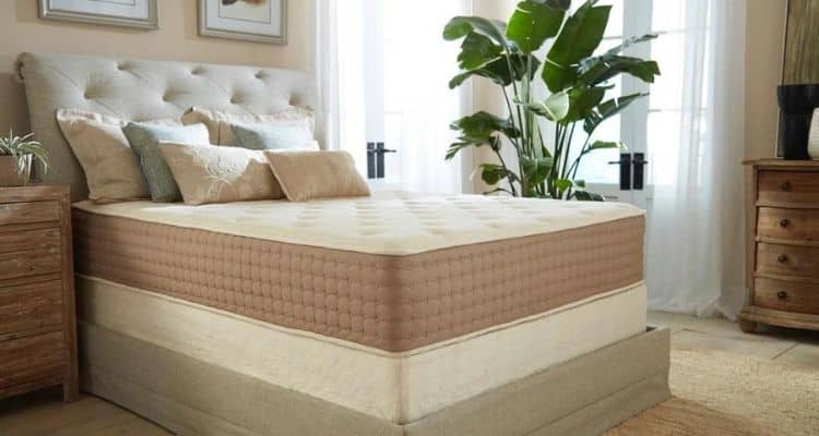 Eco Terra Mattress Reviews