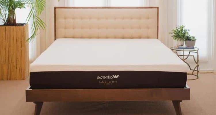 essentia mattress review 2024