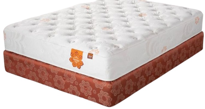 pranasleep asana plush mattress reviews
