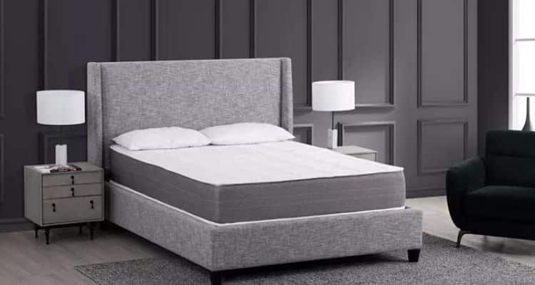 primo galaxy plush mattress