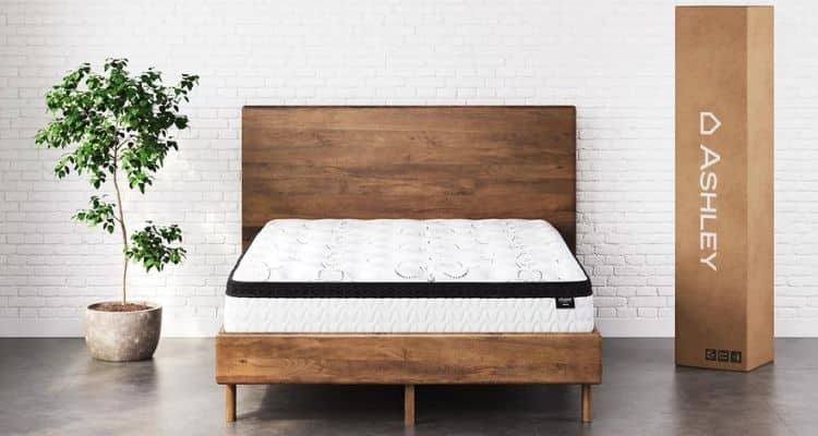 sierra sleep mattress reviews
