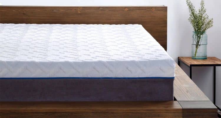 sleep science mattress phone number