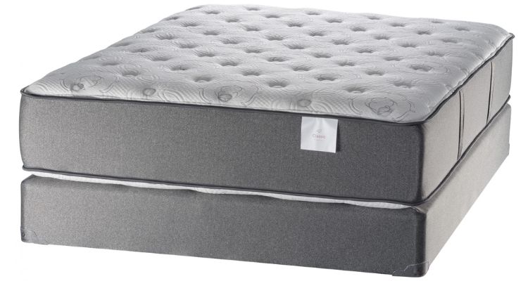 White Dove Mattress Reviews