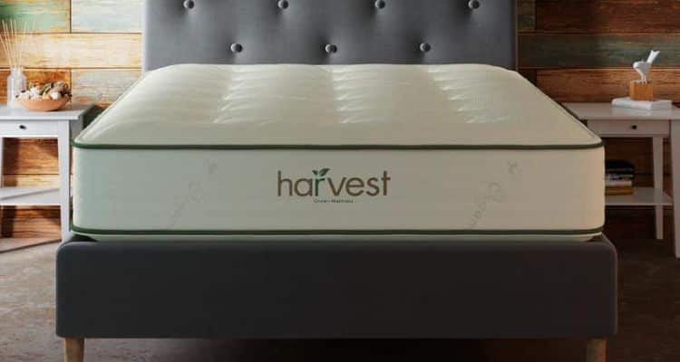 harvest green mattress reviews