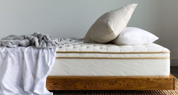 Are Leesa Mattresses Harmful?