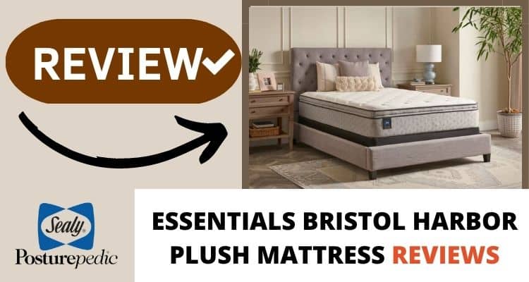 Sealy Essentials Bristol Harbor Plush Mattress Reviews