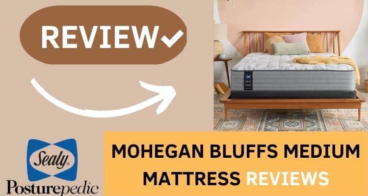 Sealy Posturepedic Mohegan Bluffs Medium Mattress