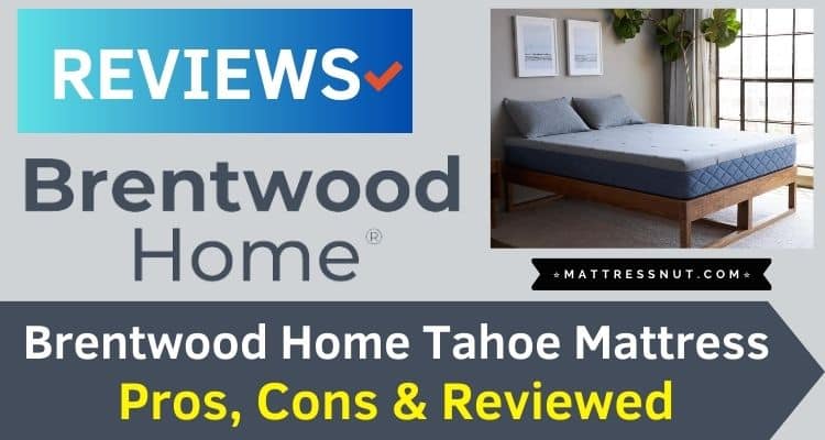 Brentwood Home Tahoe Mattress Reviews