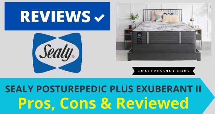 Sealy Posturepedic Plus Exuberant II Reviews