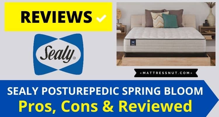 sealy posturepedic spring bloom 12 medium mattress